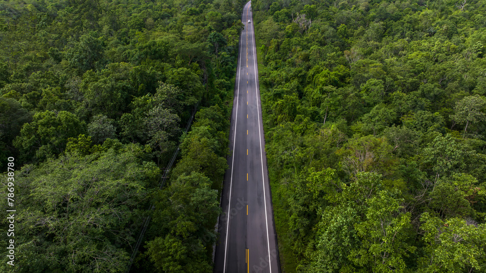 Aerial view asphalt road and green forest, Forest road going through forest view from above, Ecosystem and ecology healthy environment concept and background, Road in the middle of the forest. - obrazy, fototapety, plakaty 