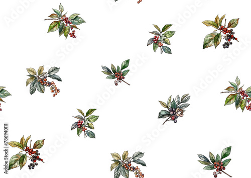 Coffee tree. Branch with leaves and berries. Seamless pattern, background. Vector illustration. In botanical style