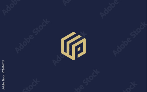 letter p with hexagon logo icon design vector design template inspiration