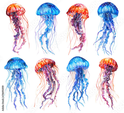 Watercolor jellyfish set.  © Vika art