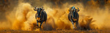 Two wildebeest are sprinting across a dusty landscape