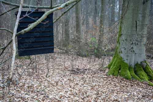 Pułapka zawieszana przez leśników w celu ochrony Świerków © qrrr