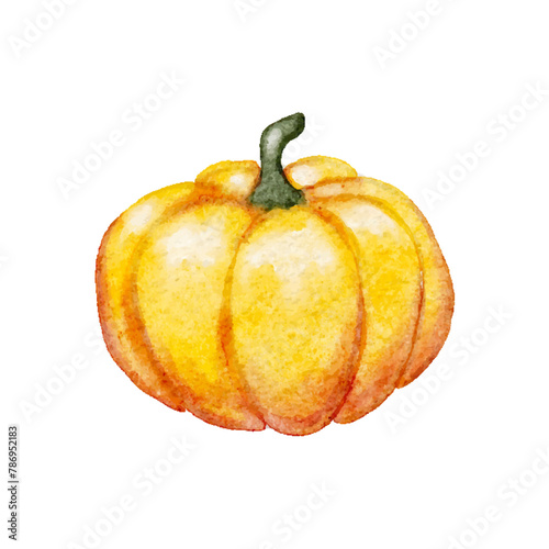 Watercolor orange yellow pumpkin cut out from background, thanksgiving holiday design