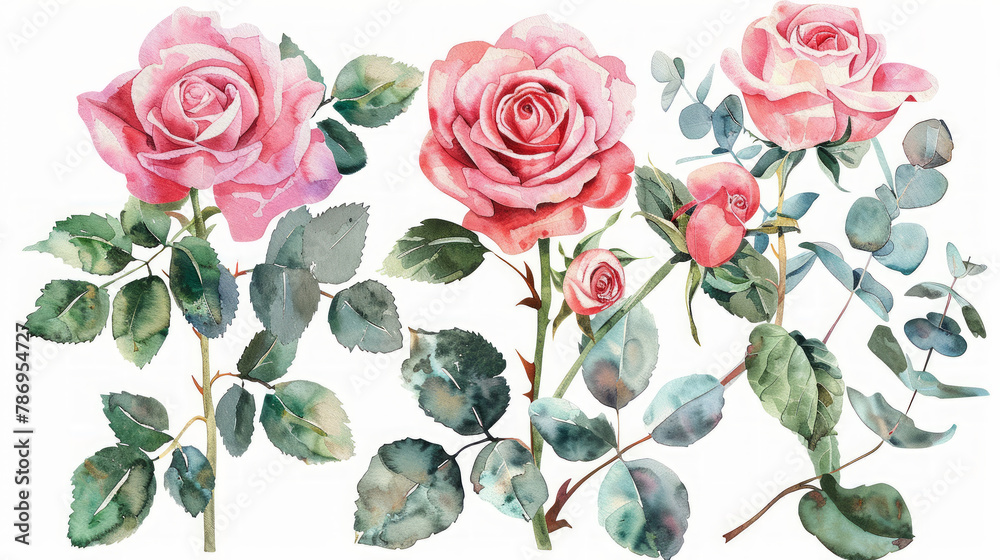 Set elementi acquerello di rose rosa; collezione fiori da giardino; foglie; rami. Botanica; illustrazione, eucalipto; design floreale di nozze - obrazy, fototapety, plakaty 