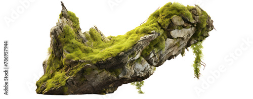 cut out rock stone mossy nature rock shape transparent background