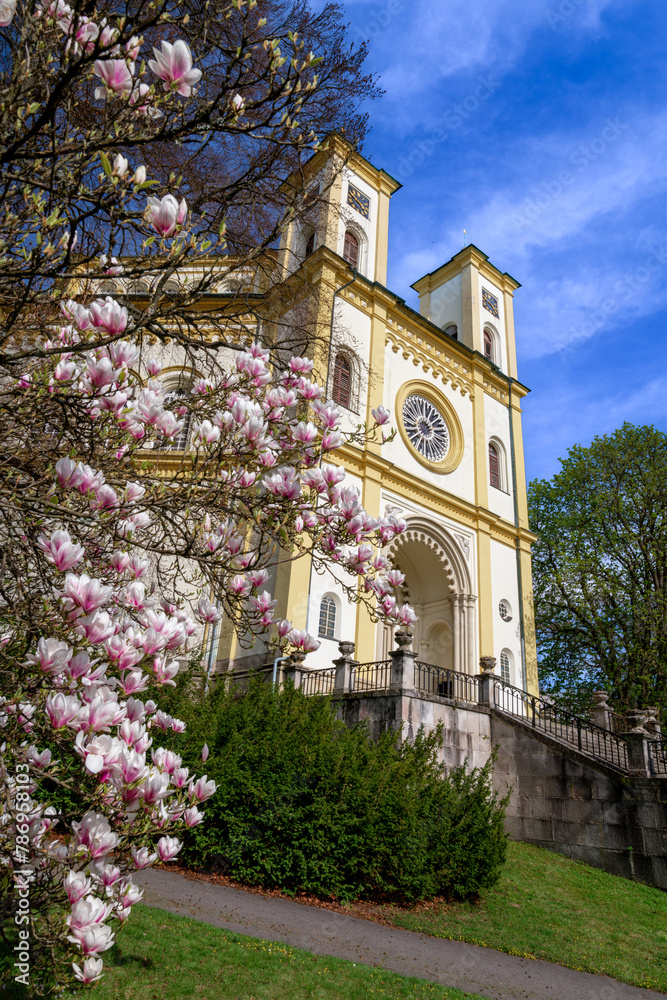 Bright yellow Catholic church in Marianske Lazne (Marienbad) - side view with blooming magnolia - sunny day with blue sky