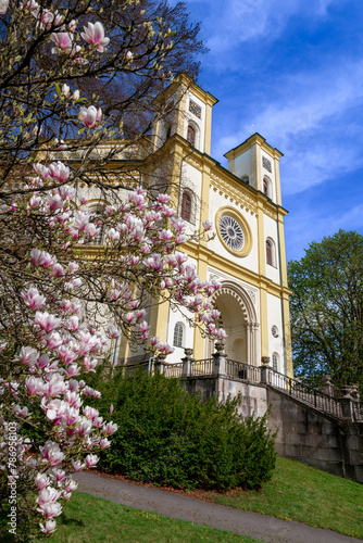 Bright yellow Catholic church in Marianske Lazne (Marienbad) - side view with blooming magnolia - sunny day with blue sky