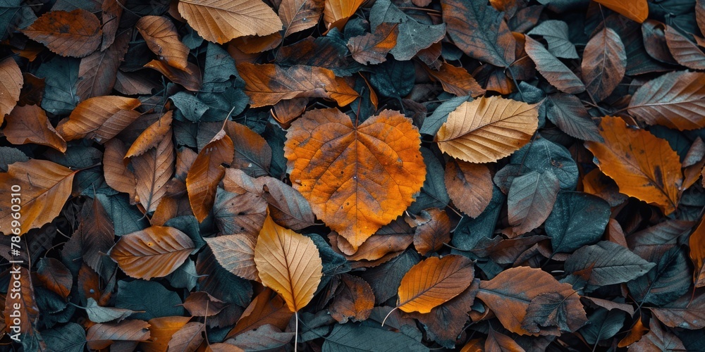 A bunch of leaves laying on the ground. Suitable for nature and autumn themes