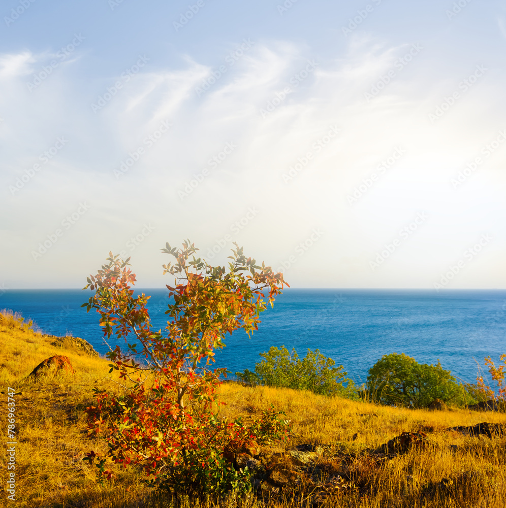Fototapeta premium rocky sea coast at the sunset
