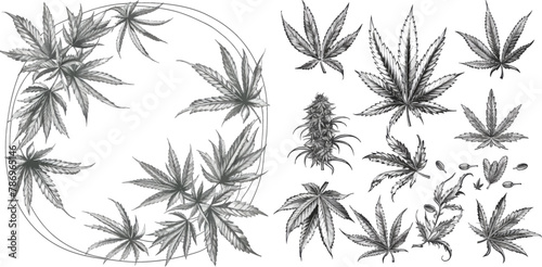 Bundle of monochrome square, round and rectangular border templates decorated by weed foliage and buds