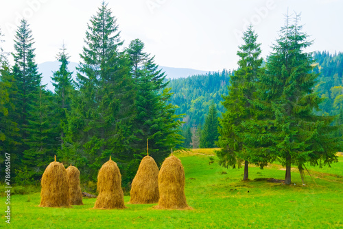 heap of haystack on green mountain pasture at summer day photo