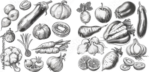 Hand drawn organic food, engraving vegetable and fruit sketch