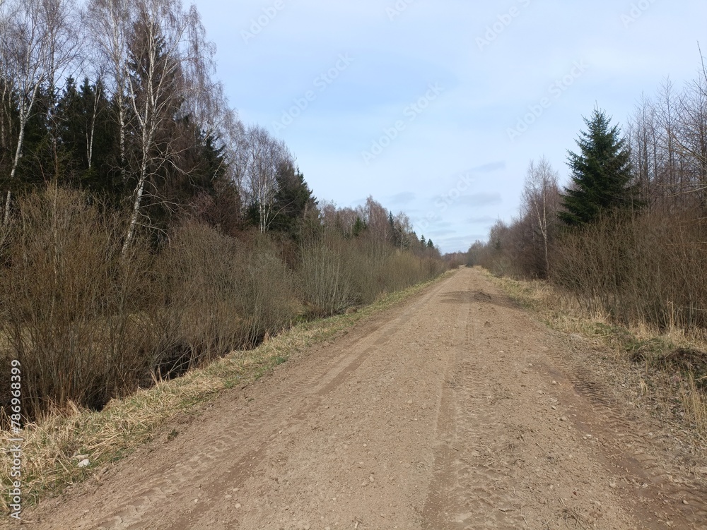 Road in forest in Siauliai county during cloudy early spring day. Oak and birch tree woodland. Cloudy day with white clouds in blue sky. Bushes are growing in woods. Sandy road. Nature. Miskas.	