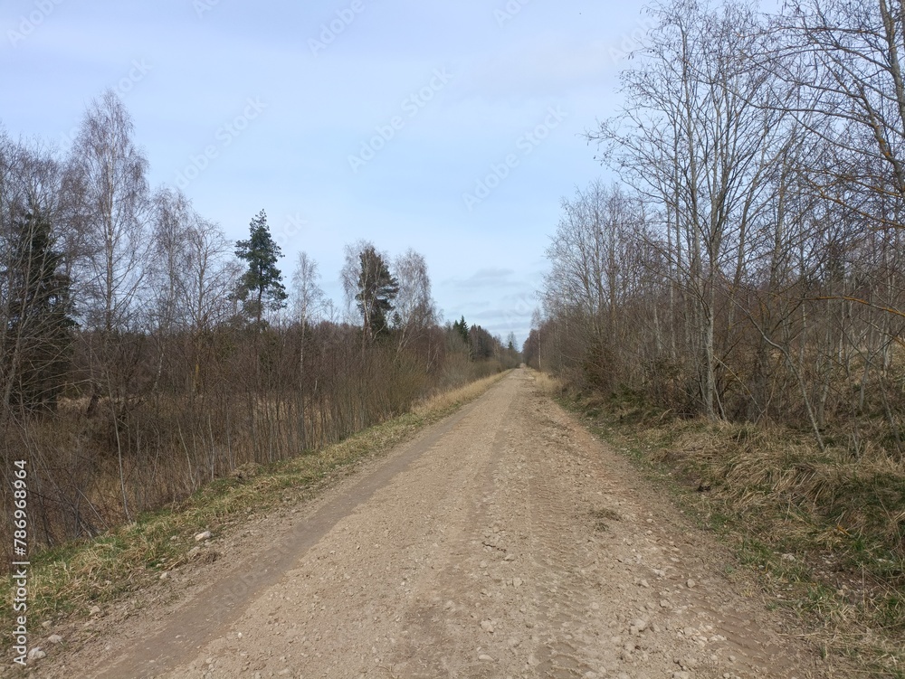 Road in forest in Siauliai county during cloudy early spring day. Oak and birch tree woodland. Cloudy day with white clouds in blue sky. Bushes are growing in woods. Sandy road. Nature. Miskas.	