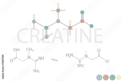 creatine molecular skeletal chemical formula