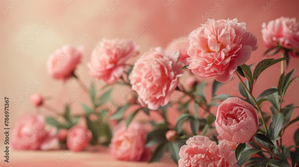 Fototapeta premium A minimalistic display of pale pink peonies arranged in a thin vertical line along the left side of a soft beige background, designed with simplicity and significant negative space.