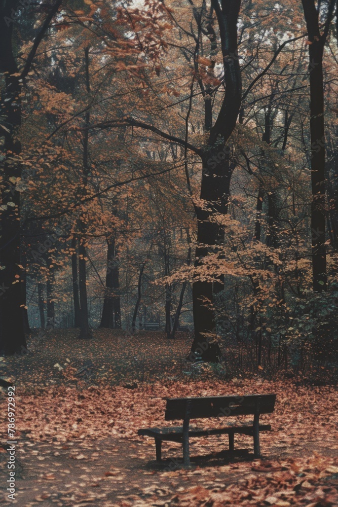 A peaceful wooden bench in the middle of a tranquil forest. Ideal for nature-themed designs