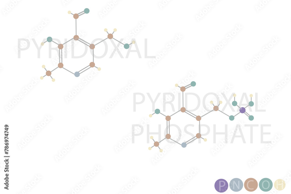 pyridoxal phosphate molecular skeletal chemical formula pyridoxal phosphate molecular skeletal chemical formula
