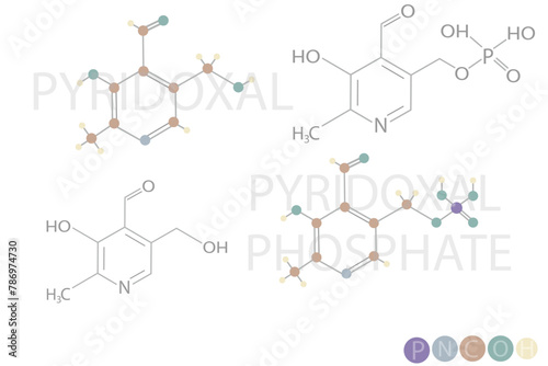 pyridoxal phosphate molecular skeletal chemical formula