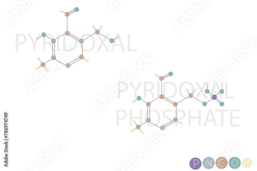 pyridoxal phosphate molecular skeletal chemical formula