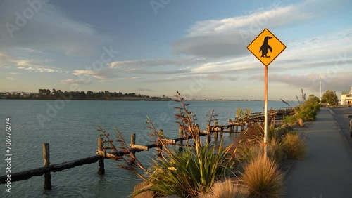 Famous Penguin sign in Caroline Bay Beach, New Zealand. Static view photo