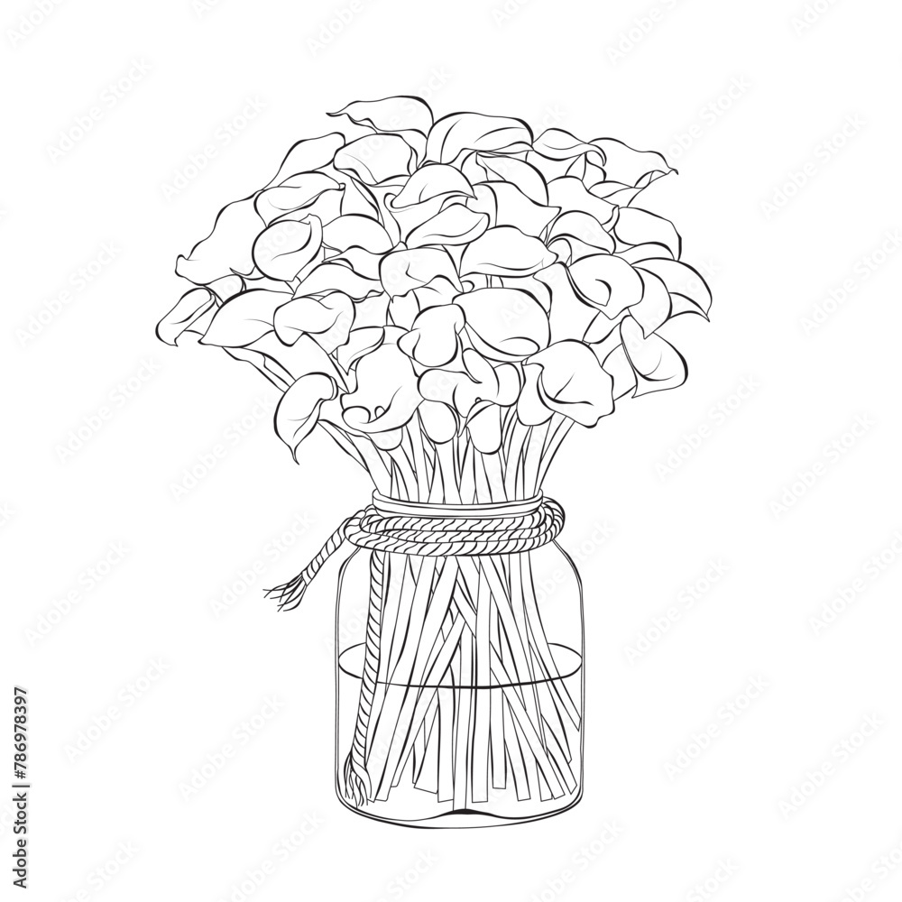 Calla lily in pots sketch outline doodle hand drawn Vector illustration Calla lily in pots sketch outline doodle hand drawn Vector illustration