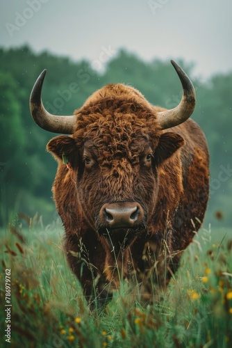 A brown cow standing in a field, suitable for agricultural concepts