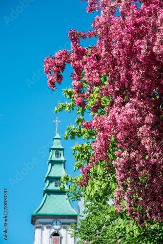 Fascinating spring landscape with the flower of the paradise apple tree and the dome of the ancient church with a cross against the sky in Ternopil.