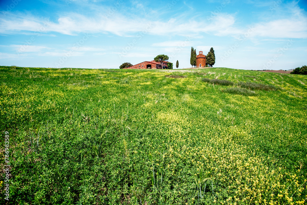 Naklejka premium charming landscape with rape flowers and chapel of Madonna di Vitaleta in background on a sunny day in San Quirico d'Orcia (Val d'Orcia) in Tuscany, Italy. Excellent tourist places