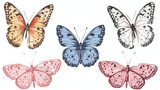 Hand drawn beautiful Butterflies. Colorful Vector illustration