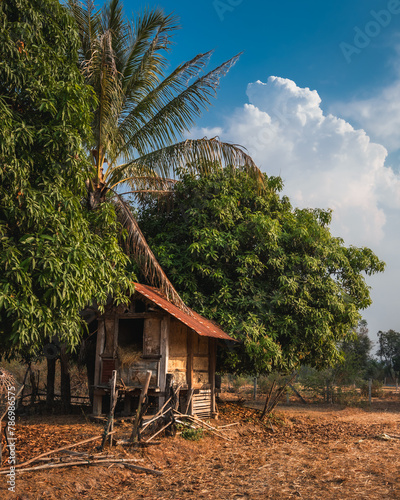 An old hut in a village in green trees