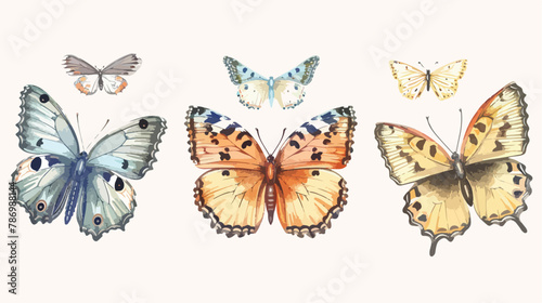 Hand drawn Four beautiful Butterflies. Colorful Vector