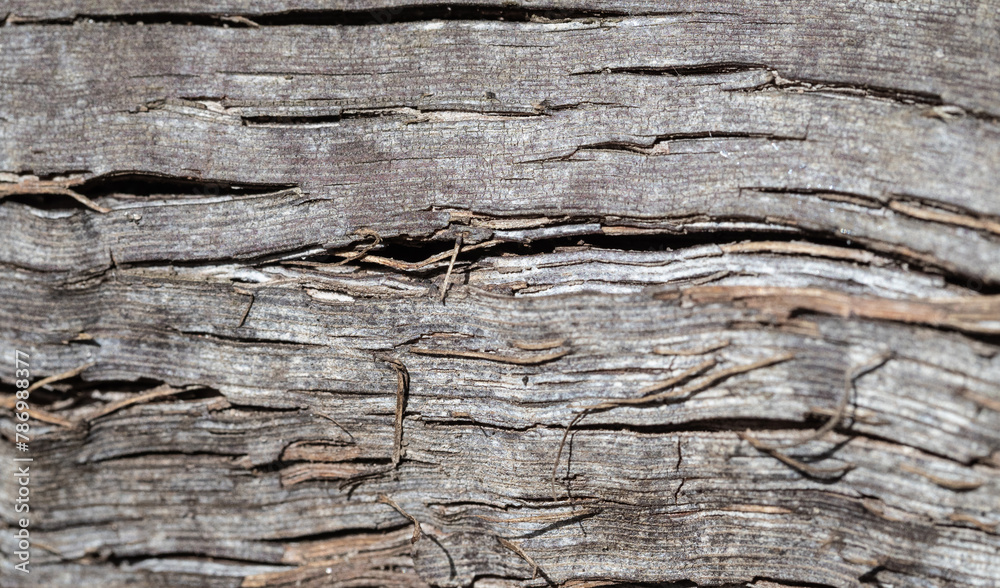 washed old wood background, wooden abstract texture washed old wood background, wooden abstract texture