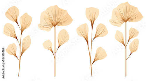 Dried wooden flowers isolated flat vector