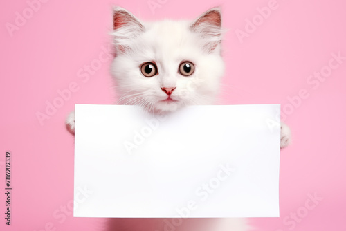 A kitten is holding a blank sheet of paper on a pink background.