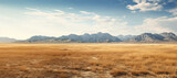 Scenic prairie landscape with majestic mountains in the distance, under a vast blue sky.