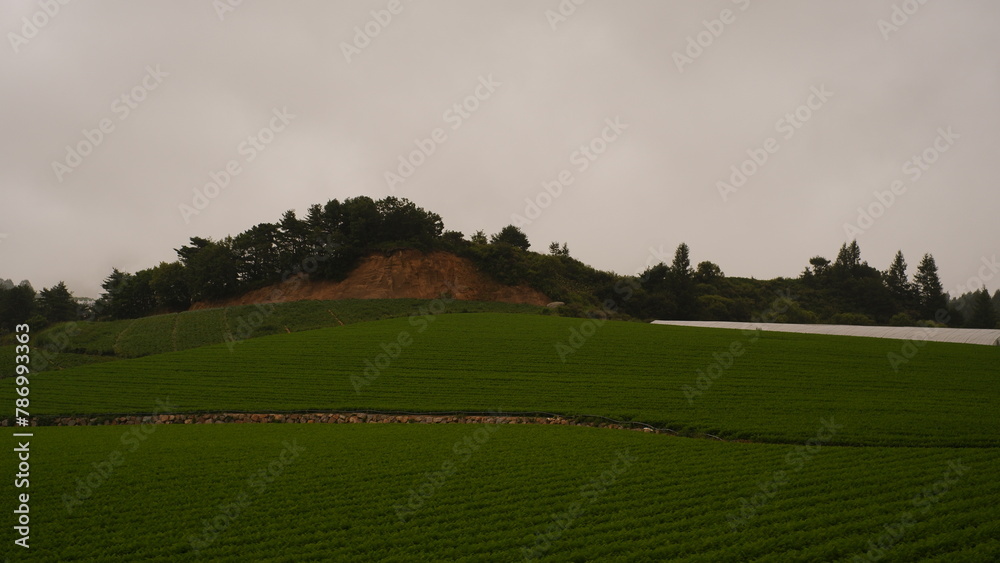 Fototapeta premium Cloudy sky beyond the field