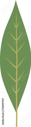 Elm leaf