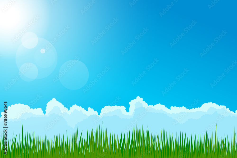 Grass and sky. Beautiful green grass against a blue sky with clouds and sun. Sunny summer day. Vector illustration of stunning meadows.
