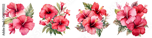 Watercolor hibiscus clipart isolated on transparent background