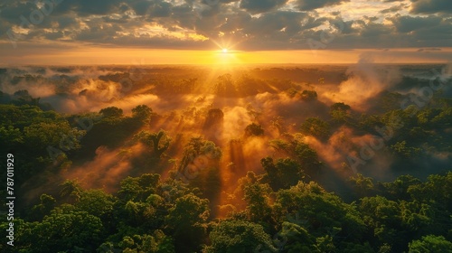 An expansive view of treetops highlighted in the misty morning sunrise over a dense forest