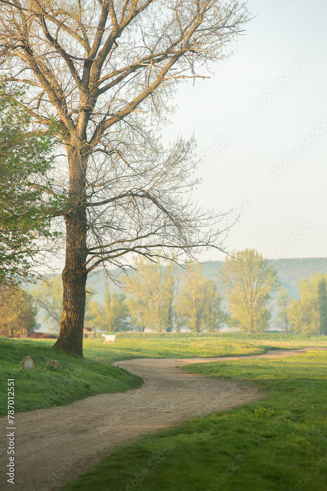 Naklejka premium Landscape with beautiful nature in the village in the Republic of Moldova. Country life. Moldova, a small country with a big heart in Eastern Europe.