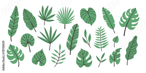 Set of hand drawn vector tropical leaves. Exotic leaves and branches in minimalistic flat style isolated on white.