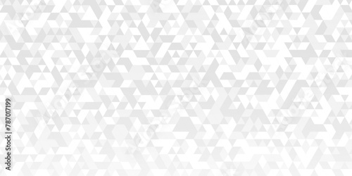 Vector geometric seamless technology gray and white triangle background. Abstract digital grid light pattern white Polygon Mosaic triangle Background, business and corporate background.