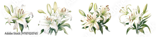 Watercolor lily clipart isolated on transparent background