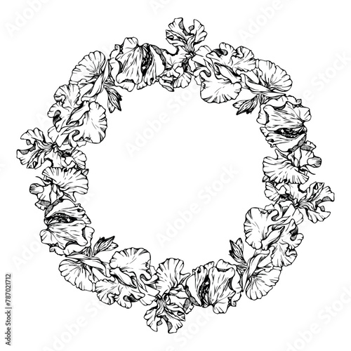 Hand drawn vector graphic ink illustration botanical flowers leaves. Sweet everlasting pea, vetch bindweed legume tendrils. Circle wreath isolated white background. Design wedding cards, floral shop