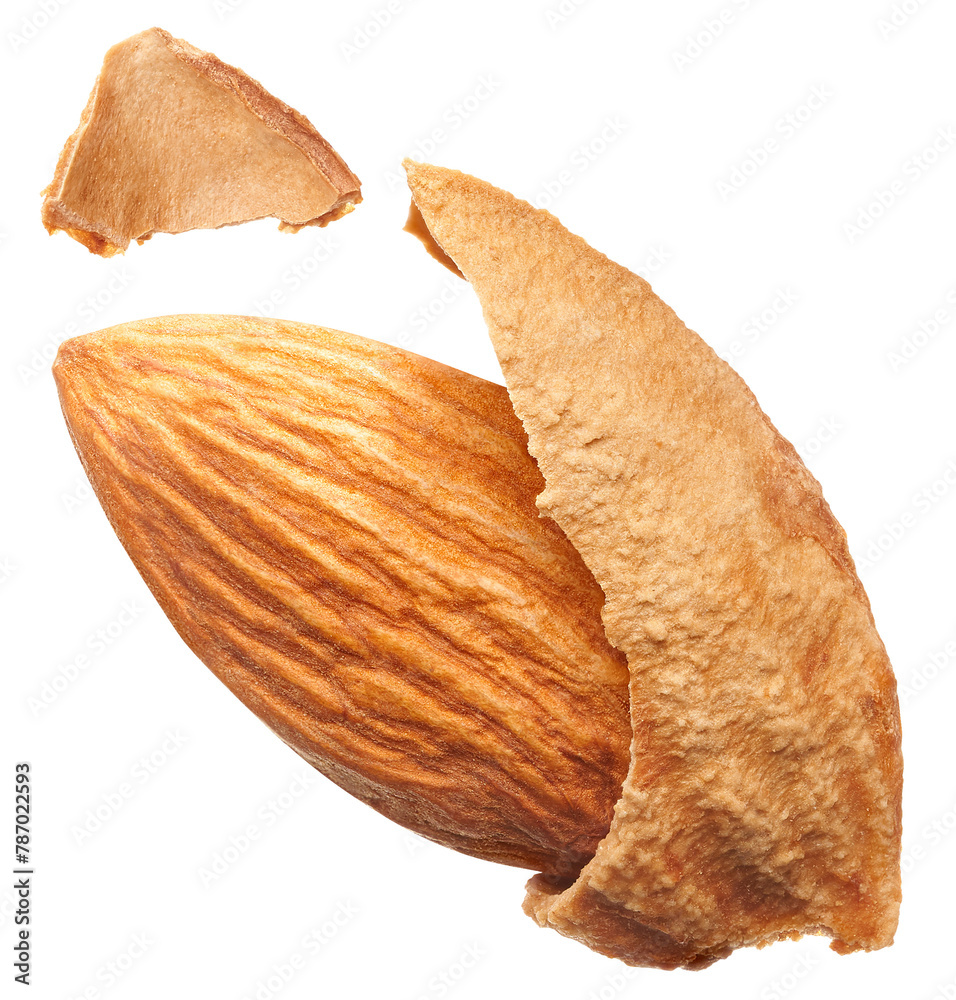 Almonds with shell isolated Almonds with shell isolated