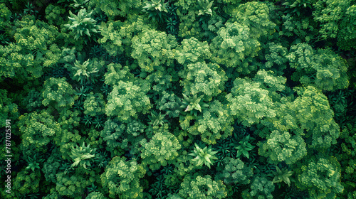 Soar above the treetops with an AI-generated aerial view capturing the dense green foliage of a forest, emphasizing the vital role of trees in capturing CO2 