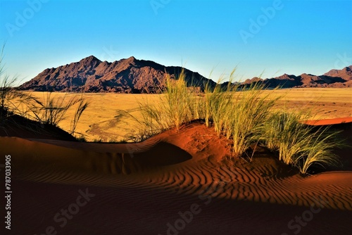 Fototapeta Naklejka Na Ścianę i Meble -  Panorama of the Naukluft Mountains as seen at dusk during the ascent to Elim Dune, a high and relatively isolated dune located 5 km past the Sesriem gate in the Namib Desert (Hardap Region, Namibia)