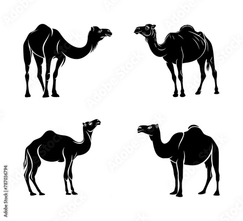 set of camel silhouettes  isolated background